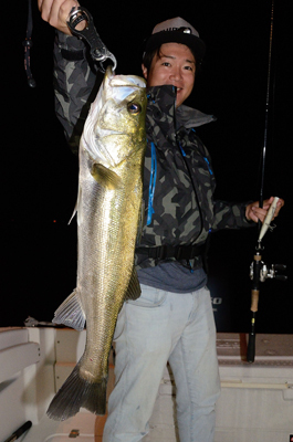 Marine T Design　マリンティ…