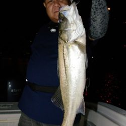 Marine T Design マリンティーデザイン 釣果