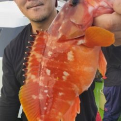 松栄丸 釣果