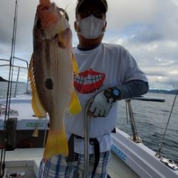 遊漁船　ニライカナイ 釣果