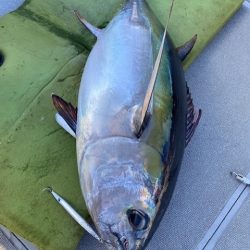 へいみつ丸 釣果