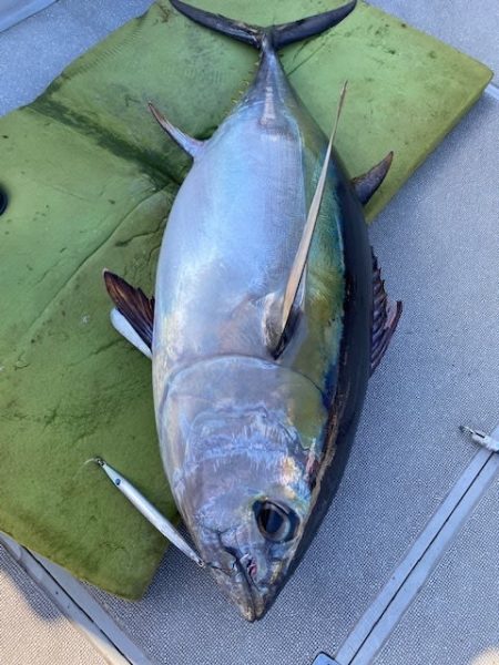 へいみつ丸 釣果