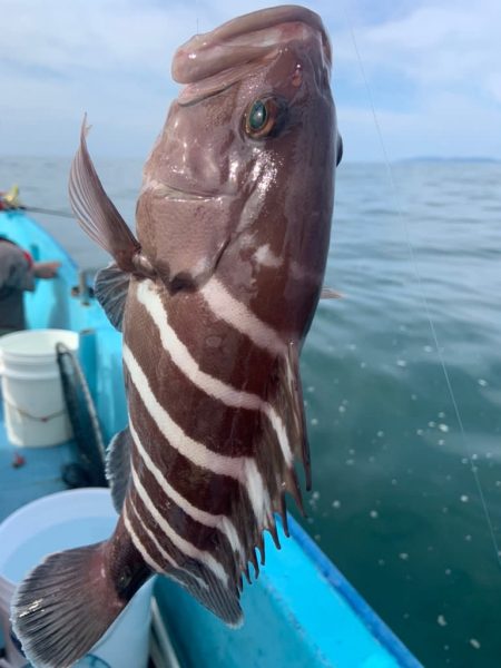 宝昌丸 釣果
