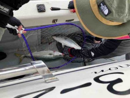 遊漁船 セトマリン 釣果