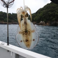 まるいち丸 ZERO-1 釣果