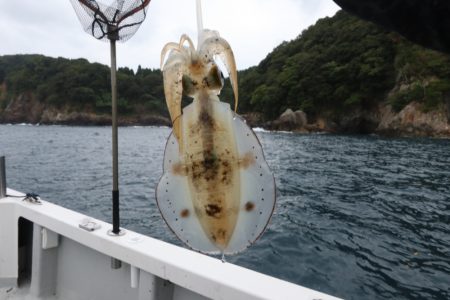 まるいち丸 ZERO-1 釣果