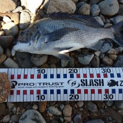天気が荒れる前にチヌトップ