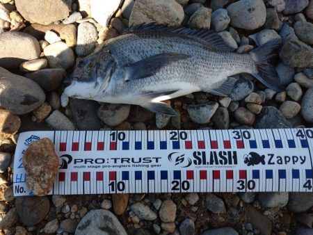 天気が荒れる前にチヌトップ