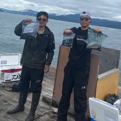 あみや渡船 釣果