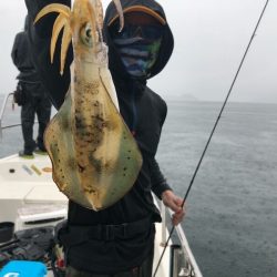 Magic(マジック) 釣果