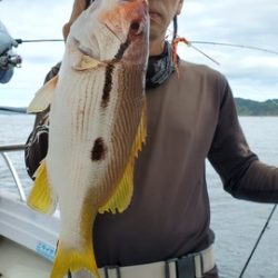 遊漁船　ニライカナイ 釣果