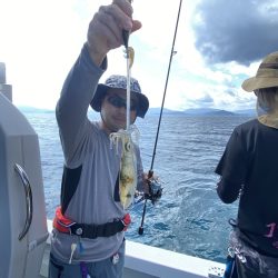 まるいち丸 ZERO-1 釣果