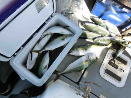 遊漁船 セトマリン 釣果