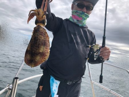 Magic(マジック) 釣果