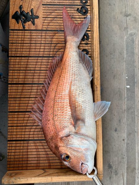 幸吉丸 釣果