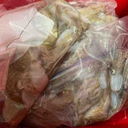 遊漁船 セトマリン 釣果