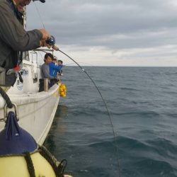 第五慶門丸 釣果