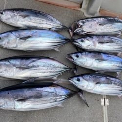 へいみつ丸 釣果