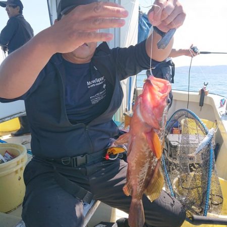 たかみ丸 釣果