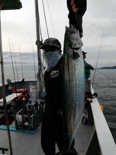 ファイヤードルフィン 釣果