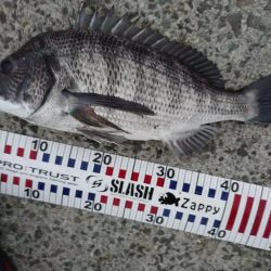 今朝もトップゲーム