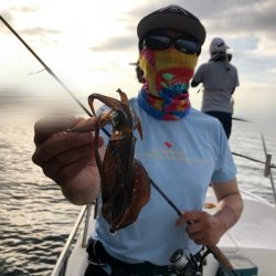 Magic(マジック) 釣果