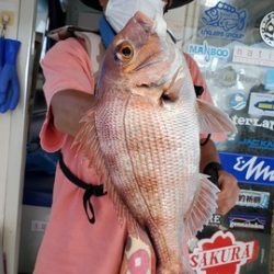 遊漁船 ニライカナイ 釣果