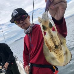 Magic(マジック) 釣果