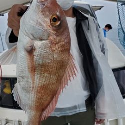 遊漁船 ニライカナイ 釣果