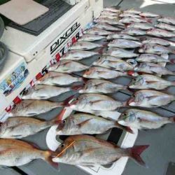 遊漁船 セトマリン 釣果