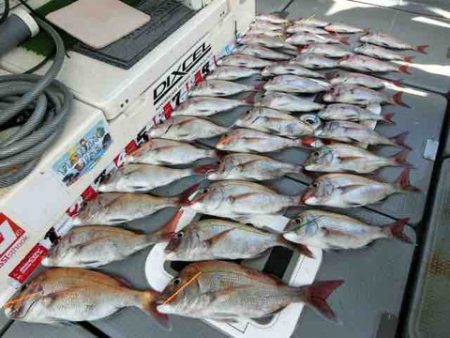 遊漁船 セトマリン 釣果