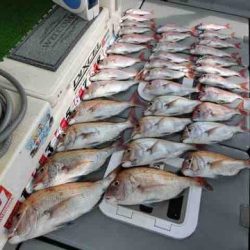 遊漁船 セトマリン 釣果