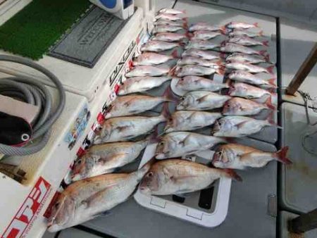 遊漁船 セトマリン 釣果