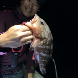 Magic(マジック) 釣果