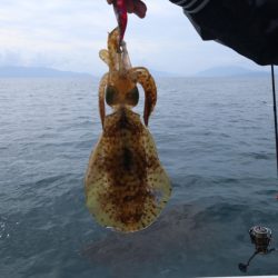 まるいち丸 ZERO-1 釣果