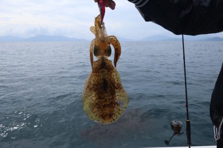 まるいち丸 ZERO-1 釣果