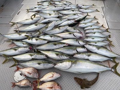 ミタチ丸 釣果
