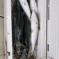 遊漁船 ニライカナイ 釣果