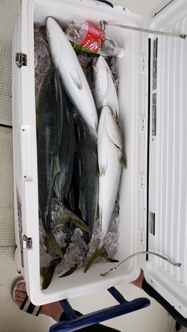 遊漁船 ニライカナイ 釣果