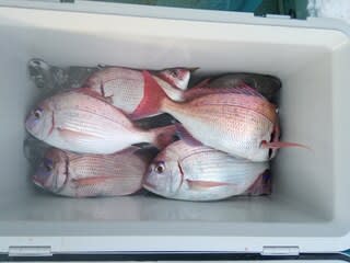 松福丸 釣果