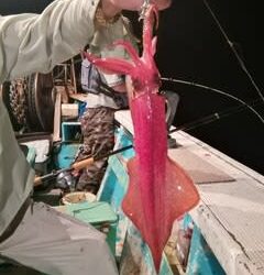 松福丸 釣果