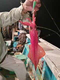 松福丸 釣果