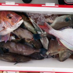 弘福丸 釣果