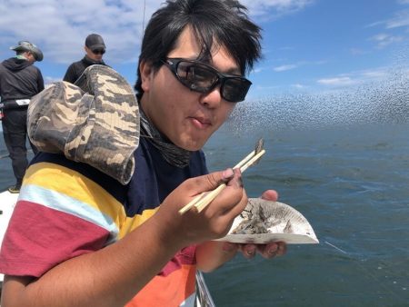 Magic(マジック) 釣果