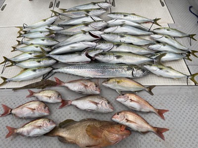 ミタチ丸 釣果