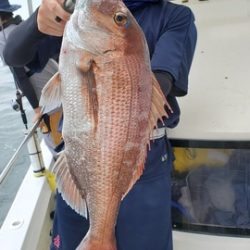 遊漁船 ニライカナイ 釣果