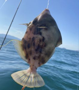 白墨丸 釣果