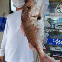 遊漁船　ニライカナイ 釣果