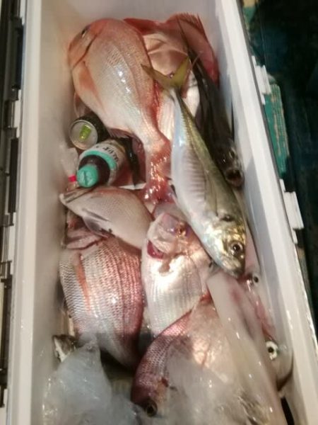 松福丸 釣果