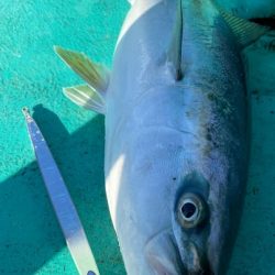 広進丸 釣果